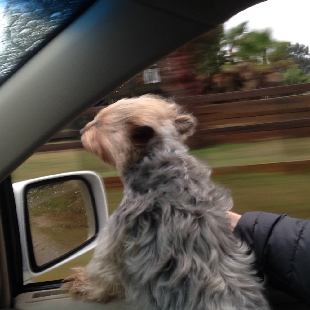 Meet your Posher, Mallory